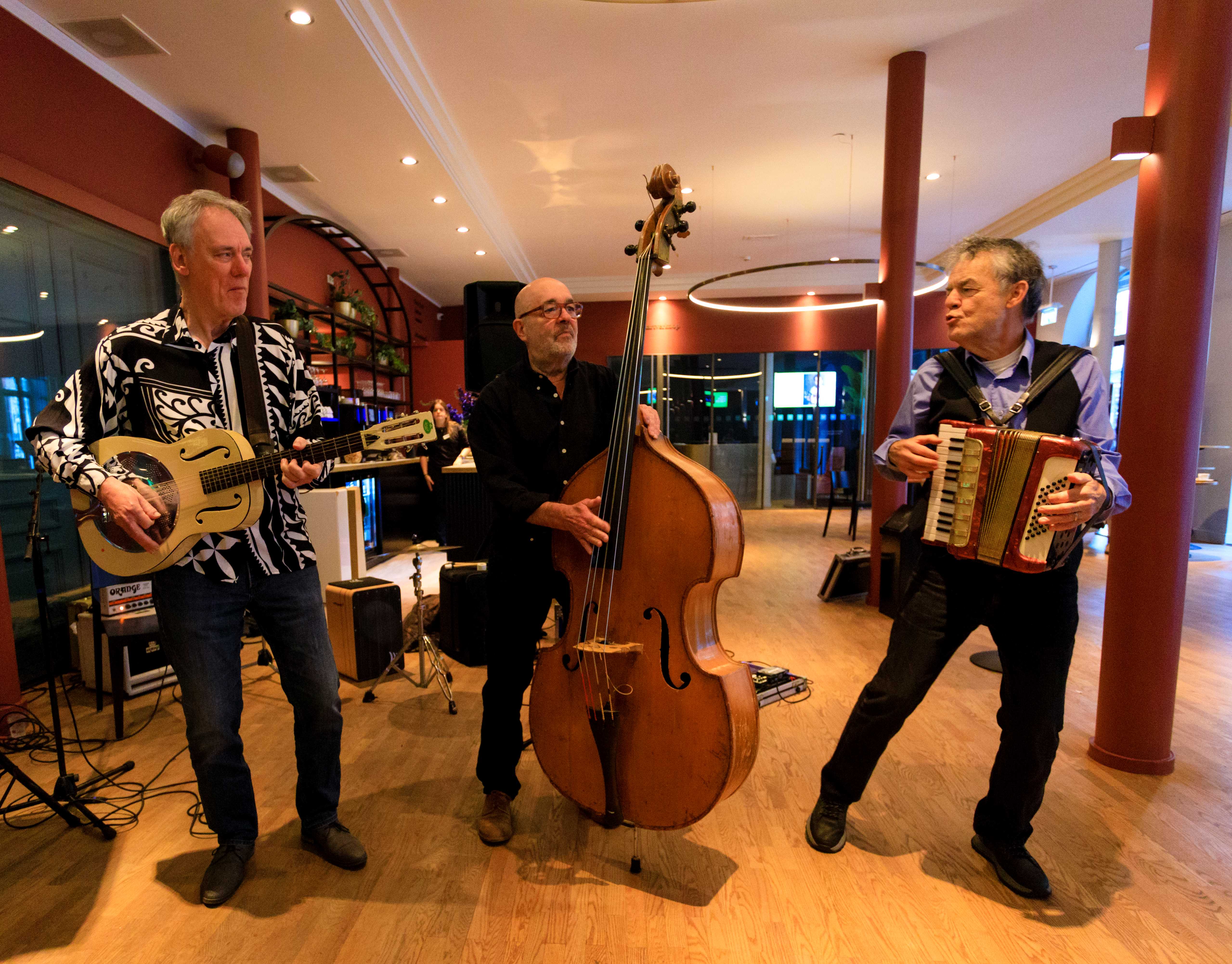 Hokum Boys (trio Frenk van Meeteren)