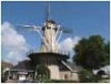 De Schelvenaer (molen)